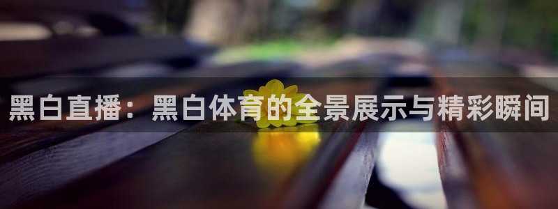 黑白直播：黑白体育的全景展示与精彩瞬间