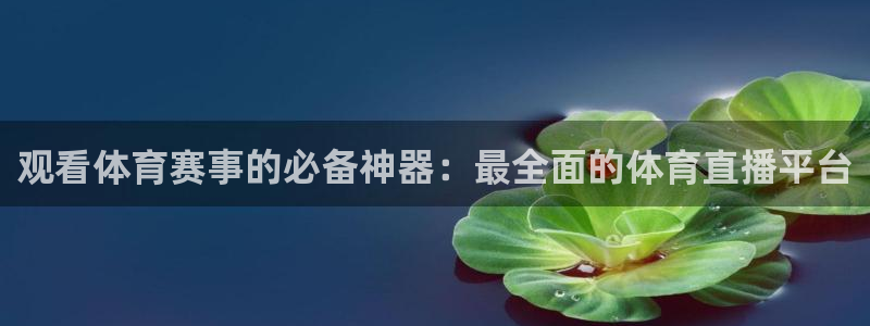 观看体育赛事的必备神器：最全面的体育直播平台