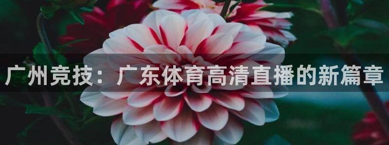 广州竞技：广东体育高清直播的新篇章