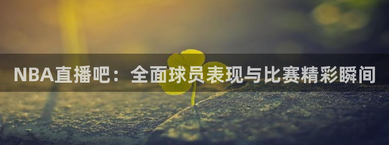 NBA直播吧：全面球员表现与比赛精彩瞬间