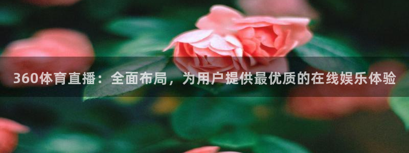360体育直播：全面布局，为用户提供最优质的在线娱乐体验