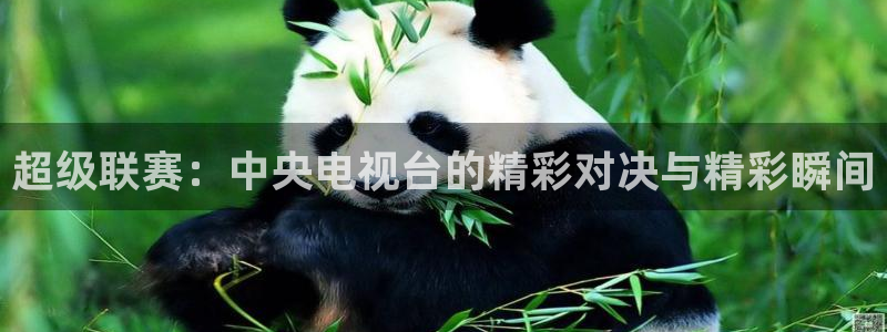 超级联赛：中央电视台的精彩对决与精彩瞬间